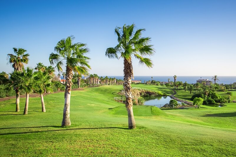 Golf Startzeiten auf Golf del Sur für den Winter 2016/2017 reservierbar