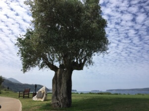 Bay Course, Costa Navarino