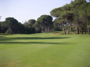 Cornelia Faldo Golf