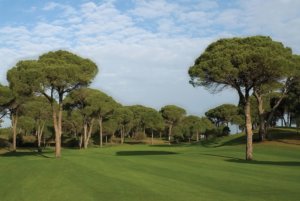 Cornelia Faldo Golf