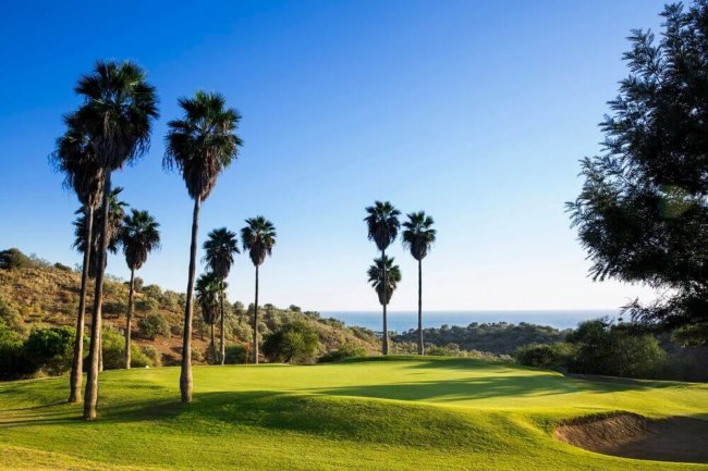 Webinar mit der Costa del Sol