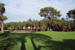 Cornelia Faldo Golf