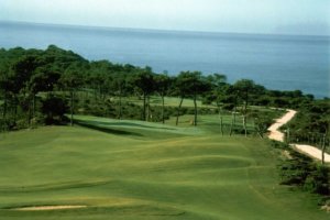 Oitavos Golf