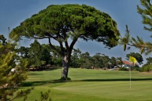 Golf do Estoril