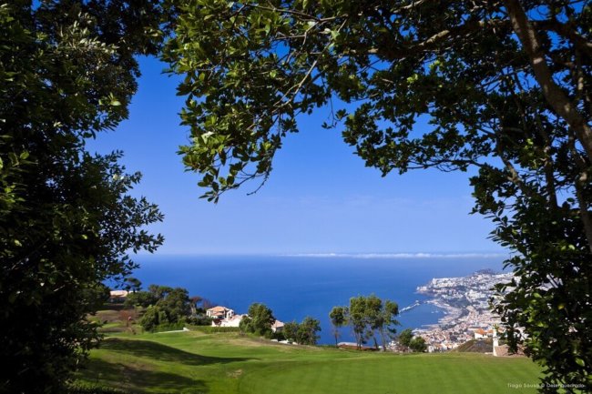 Leihschläger Madeira